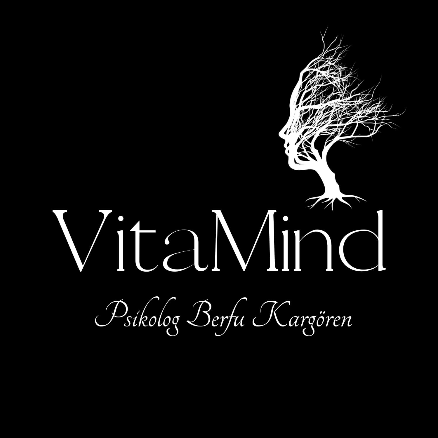 VitaMindpsikoloji.com